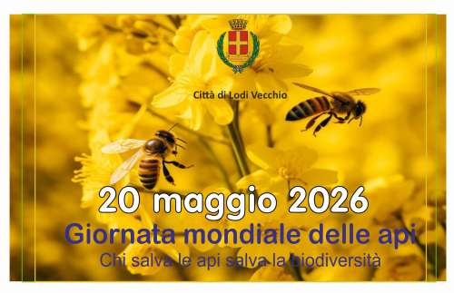20 maggio 2026