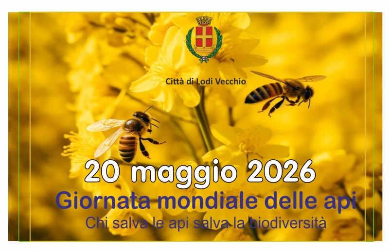 20 maggio 2026